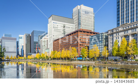 秋の東京都市風景 日比谷通りのイチョウ並木と高層ビル群【東京都・千代田区】 秋の東京都市風景 日比谷通りのイチョウ並木と高層ビル群【東京都・千代田区】 143843685