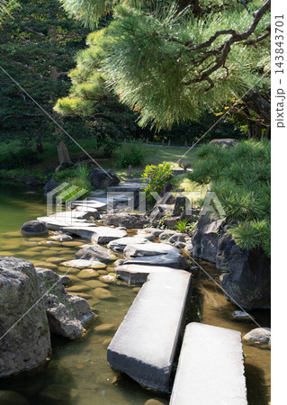 清澄庭園 回遊式林泉庭園の美しい磯渡りと松の木 143843701