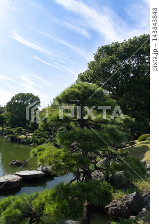 清澄庭園 回遊式林泉庭園の美しく仕立てられた松と秋空 143843848