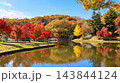 池に映る紅葉 　笠間市　北山公園 143844124