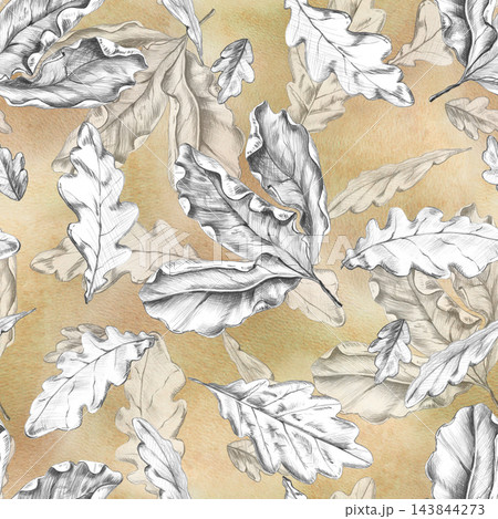 Seamless pattern featuring pencil sketches of oak leaves on a beige background. This illustration is suitable for wallpaper, packaging,textiles, eco-friendly brands, interior design,printed materials. Seamless pattern featuring pencil sketches of oak leaves on a beige background. This illustration is suitable for wallpaper, packaging,textiles, eco-friendly brands, interior design,printed materials. 143844273