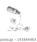 A bottle of essential oil drops and chamomile flowers, rendered in pencil. Designed for aromatherapy salons, organic product manufacturers, herbal tea bars, and eco-friendly hotels. 143844463