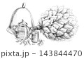 Pencil illustration featuring an oak bath broom and mint tea. Suitable for spa resorts, teahouses, herbal therapy, glamping sites, ethno-tourism, campsites, souvenir shops, and wellness programs. 143844470