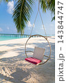 Hanging beach chair beneath palm tree on pristine tropical shoreline 143844747
