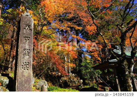 紅葉に染まる長安寺・五百羅漢の紅葉 11月箱根80長安寺・五百羅漢の紅葉 紅葉に染まる長安寺・五百羅漢の紅葉 11月箱根80長安寺・五百羅漢の紅葉 143845159
