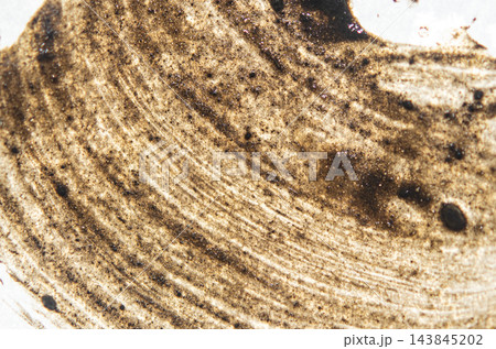 Mud background Mud background 143845202