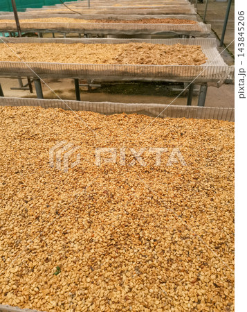 Coffee beans 143845206