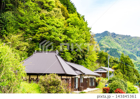 【重要伝統的建造物群保存地区】東祖谷山村落合　初夏の風景　トタン葺きの民家2　徳島県三好市 143845361