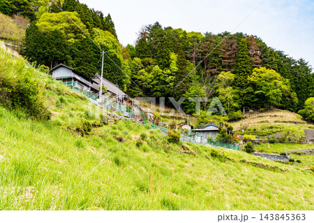 【重要伝統的建造物群保存地区】東祖谷山村落合　初夏の風景　里道と民家　徳島県三好市 143845363