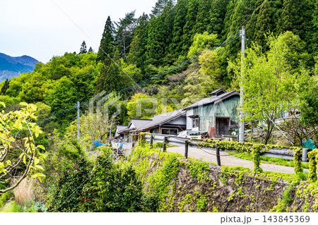 【重要伝統的建造物群保存地区】東祖谷山村落合　初夏の風景　最上部の民家1　徳島県三好市 143845369