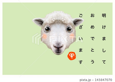 新年の挨拶をする可愛いひつじ君 新年の挨拶をする可愛いひつじ君 143847070