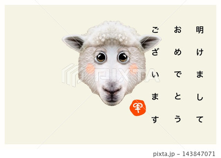 新年の挨拶をする可愛いひつじ君 143847071