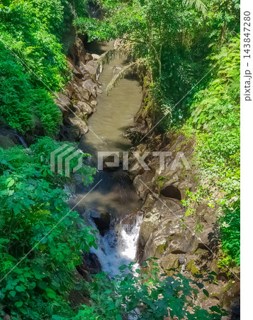 Aerial view of tropical jungle river gorge with small waterfall flowing through dense rainforest vegetation Aerial view of tropical jungle river gorge with small waterfall flowing through dense rainforest vegetation 143847280