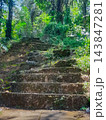 Old weathered stone staircase leading upward through sunlit tropical jungle with palm trees and lush vegetation 143847281
