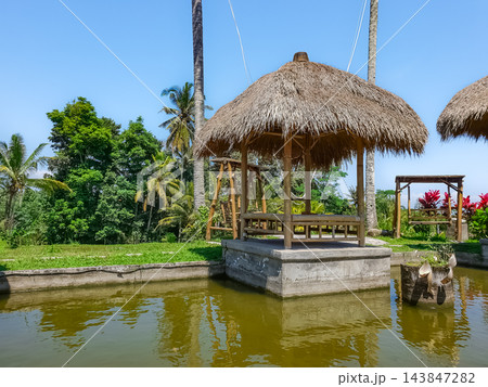 Traditional Balinese thatched roof gazebo on stone platform surrounded by calm pond with palm trees Traditional Balinese thatched roof gazebo on stone platform surrounded by calm pond with palm trees 143847282