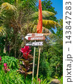 Wooden directional signs pointing to waterfall and parking area at tropical garden entrance in Bali 143847283