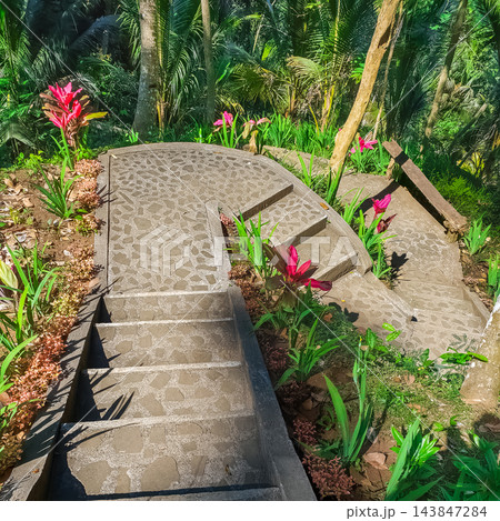 Stone mosaic staircase winding through tropical garden with pink flowering plants and palm trees in sunlight Stone mosaic staircase winding through tropical garden with pink flowering plants and palm trees in sunlight 143847284