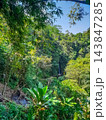 Distant waterfall viewed through dense tropical jungle with bamboo banana trees and blue sky in Bali 143847285