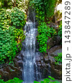 Tropical waterfall cascading over dark rocks between lush green jungle foliage in bright sunlight 143847289