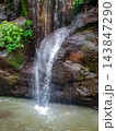 Tropical waterfall cascading over dark mossy rocks into shallow pool surrounded by dense jungle vegetation 143847290