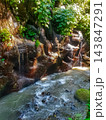 Water streaming down dark reddish rocks into turbulent jungle river with mossy boulders and tropical vegetation 143847291