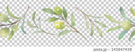 Olive line art drawn in watercolor Olive line art drawn in watercolor 143847439
