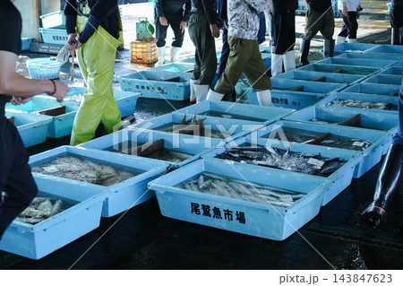 三重県_尾鷲市_尾鷲港の水揚げ 143847623