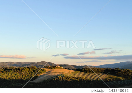 Tuscan villa and olive grove at sunset under wide pastel sky 143848052