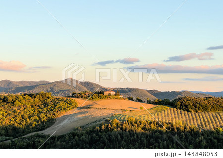 Tuscan villa with cypresses on hill above plowed field and olive grove at sunset 143848053