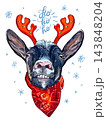 Christmas close up funny goat with a reindeer horns hand drawn illustration 143848204