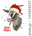 Cute goat in a Christmas hat vector hand drawn illustration 143848207