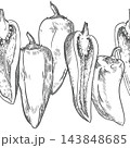 Vector sketch seamless border of pepper vegetable. Whole sweet pepper fruits and halves with seeds in a row. Capsicum or paprika hand drawn, etching technique. Line art. Clip art for farm shop. 143848685