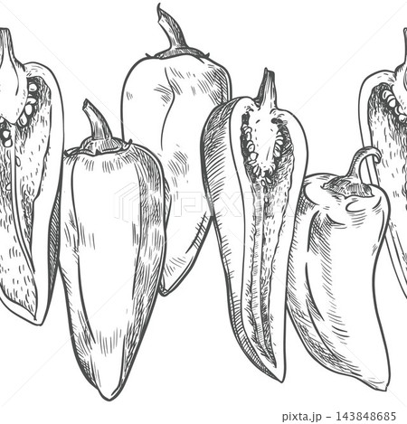 Vector sketch seamless border of pepper vegetable. Whole sweet pepper fruits and halves with seeds in a row. Capsicum or paprika hand drawn, etching technique. Line art. Clip art for farm shop. Vector sketch seamless border of pepper vegetable. Whole sweet pepper fruits and halves with seeds in a row. Capsicum or paprika hand drawn, etching technique. Line art. Clip art for farm shop. 143848685
