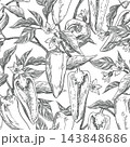 Vector sketch seamless pattern of pepper vegetable. Sweet pepper plant branches with fruits, halves, flowers and leaves. Capsicum or paprika hand drawn, imitation of engraving technique. Line art. 143848686