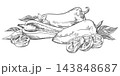 Vector sketch composition of pepper vegetable. Whole sweet pepper fruits, halves, slices, flower and leaves. Capsicum or paprika hand drawn, etching technique. Retro style. Lying on a table. 143848687