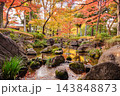 秋の大田黒公園、朱色と黄金色に染まる日本庭園の紅葉風景 143848873