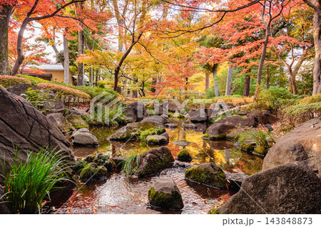 秋の大田黒公園、朱色と黄金色に染まる日本庭園の紅葉風景 秋の大田黒公園、朱色と黄金色に染まる日本庭園の紅葉風景 143848873