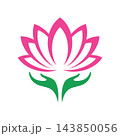Lotus Logo Icon Design 143850056