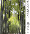 美しい竹林のある風景 143850098