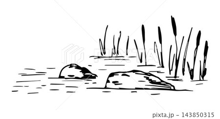 Simple hand-drawn vector drawing in black outline. Lake shore, reeds, stones in the water, bumps, swamp. Nature, landscape, duck hunting. 143850315