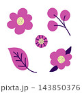 Simple flower vector color drawing. Set of pink-purple flowers, leaf, twig isolated on white background. To create a pattern, postcard, label, product decoration. 143850376
