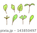Hand-drawn simple vector doodle style drawing. Micro green sprouts set. Healthy foods, vitamins, vegetarian salad. For sticker prints, label, product design, packaging. 143850497