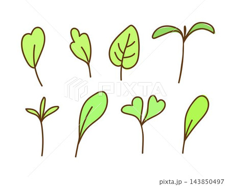 Hand-drawn simple vector doodle style drawing. Micro green sprouts set. Healthy foods, vitamins, vegetarian salad. For sticker prints, label, product design, packaging. Hand-drawn simple vector doodle style drawing. Micro green sprouts set. Healthy foods, vitamins, vegetarian salad. For sticker prints, label, product design, packaging. 143850497