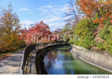 京都の秋の琵琶湖疏水(山科疏水)と紅葉 京都の秋の琵琶湖疏水(山科疏水)と紅葉 143850624