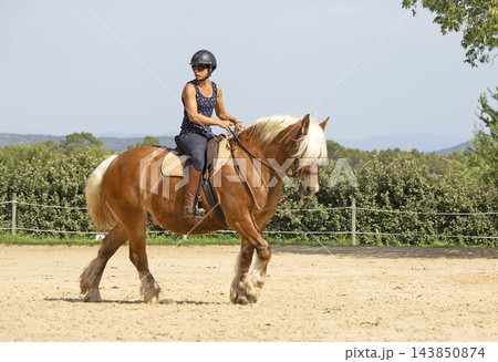 riding girl and horse riding girl and horse 143850874