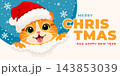 Merry Christmas And Happy New Year Greeting Card With Cat In Santa Claus Hat 143853039