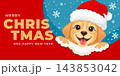 Merry Christmas And Happy New Year Greeting Card With Dog In Santa Claus Hat 143853042