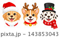 Set of Christmas dogs 143853043