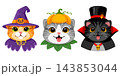 Set of Halloween cats 143853044