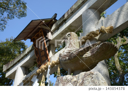 三宅八幡宮 鳥居と狛鳩 京都市左京区上高野三宅町 三宅八幡宮 鳥居と狛鳩 京都市左京区上高野三宅町 143854378